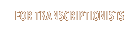 For Transcriptionists