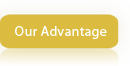 Our Advantage